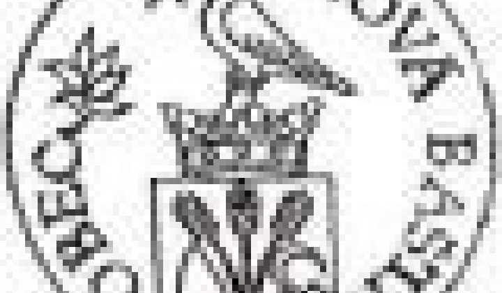 3. fotógaléria fotózás 